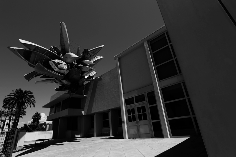 Illustration for article titled Shooting Challenge: Black and White 2